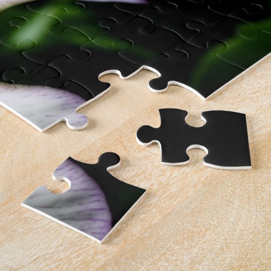 Paarse en witte reuzenpompoen legpuzzel (Zijkant)