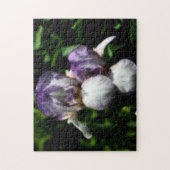 Paarse en witte reuzenpompoen legpuzzel (Verticaal)