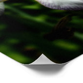 Paarse en witte reuzenpompoen poster (Hoek)