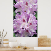 Paarse en witte rododendronbloemen poster (Keuken)