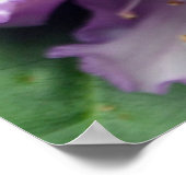 Paarse en witte rododendronbloemen poster (Hoek)