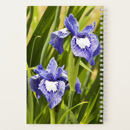 Paarse en witte Siberische Irises Notitieboek (Achterkant)