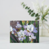 Paarse en witte Sprint Iris Briefkaart (Staand voorkant)