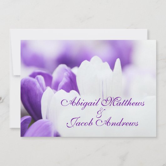 Paarse en witte Tulp Flowers Weddenschap Kaart (Achterkant)