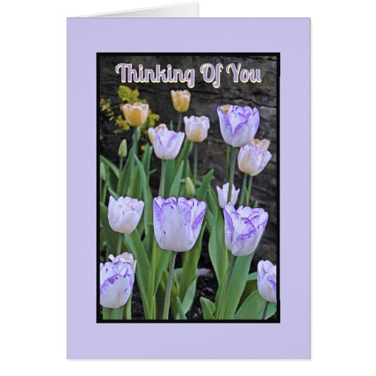 paarse en WITTE TULPEN / Denken aan jou (Voorkant)