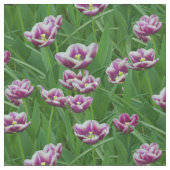 Paarse en witte Tulpen Stof (Close Up)