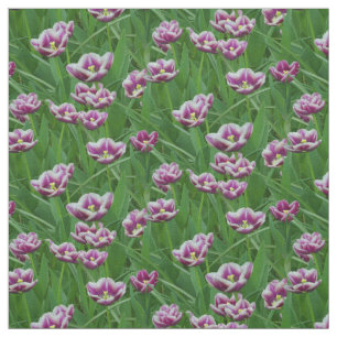 Paarse en witte Tulpen Stof