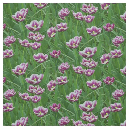 Paarse en witte Tulpen Stof (Swatch)