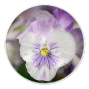 Paarse en witte violen keramische knop
