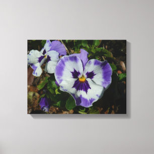 Paarse en Witte Viooltjes Kleurrijk Bloemstuk Canvas Afdruk
