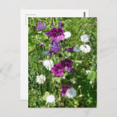 Paarse en witte Wildflowers DIY Briefkaart (Voorkant / Achterkant)