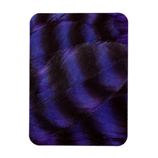 Paarse en zwarte veren magneet (Verticaal)