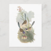 Paarse Fairywren Briefkaart (Voorkant)