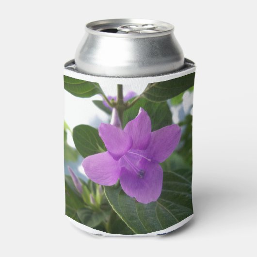 Paarse Filipijnse Violet Blikjeskoeler (Blikje Voorkant)