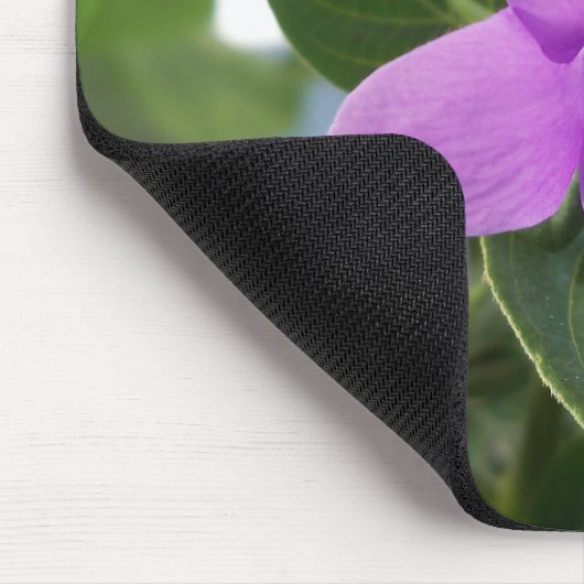 Paarse Filipijnse Violet Muismat (Hoek)