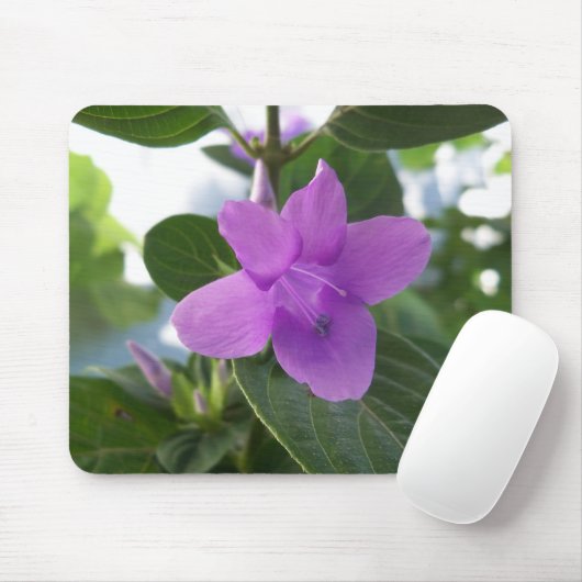 Paarse Filipijnse Violet Muismat (Met muis)