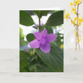 Paarse Filipijnse Viooltje Kaart (Gele Bloem)