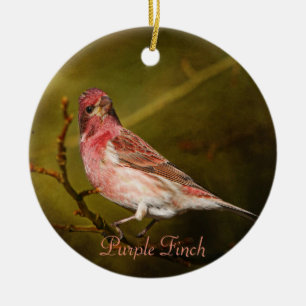 Paarse finch fotografie rondom keramisch ornament