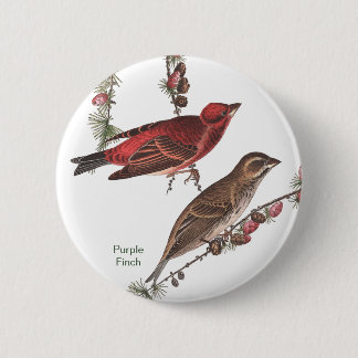 Paarse Finch, John James Audubon, Birdwatcher Bird Ronde Button 5,7 Cm