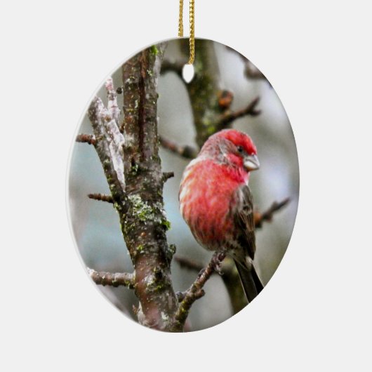 Paarse Finch Keramisch Ornament (Rechts)