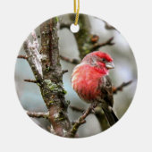 Paarse Finch Keramisch Ornament (Voorkant)