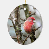 Paarse Finch Keramisch Ornament (Links)