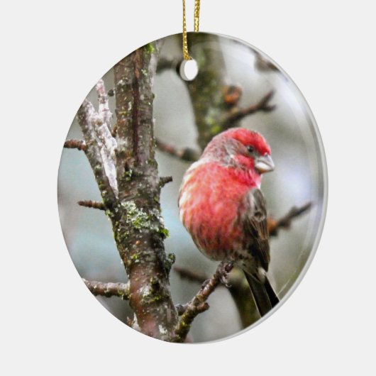 Paarse Finch Keramisch Ornament (Links)