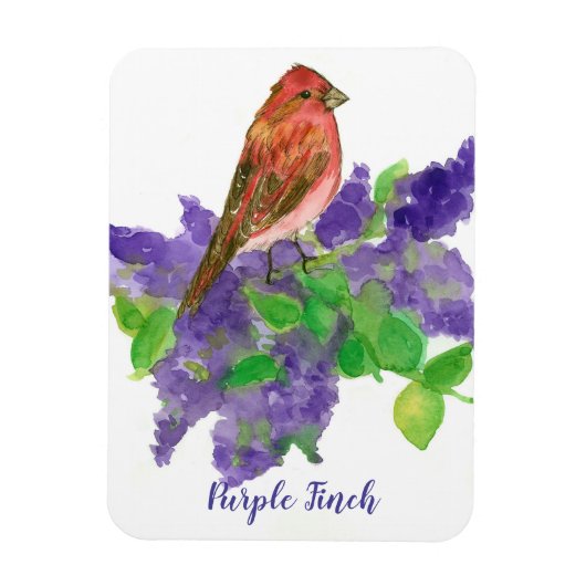 Paarse Finch Lilacs Waterverf Flowers Magneet (Verticaal)