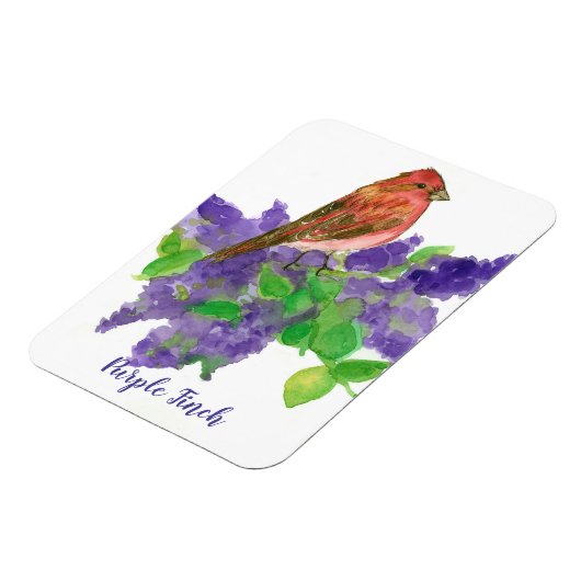 Paarse Finch Lilacs Waterverf Flowers Magneet (Linkerzijde)