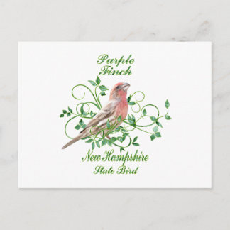 Paarse Finch New Hampshire State Bird Briefkaart