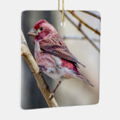 Paarse Finch Ornament (Rechts)