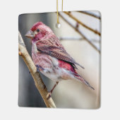 Paarse Finch Ornament (Links)