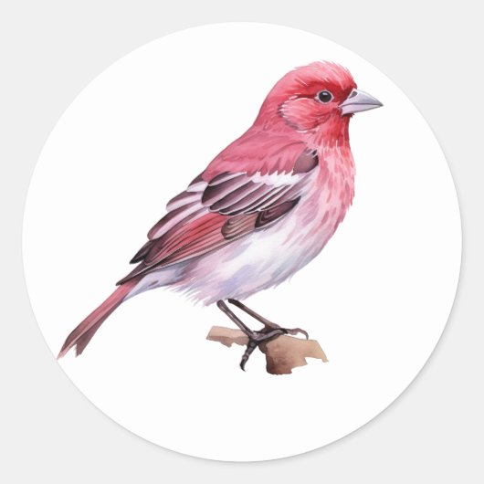 Paarse Finch Ronde Sticker (Voorkant)