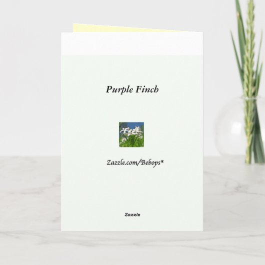 Paarse Finch Vaderdag Kaart (Achterkant)