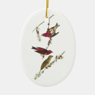 Paarse finch van Audubon Keramisch Ornament