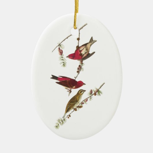 Paarse finch van Audubon Keramisch Ornament (Voorkant)