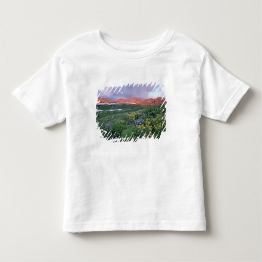 Paarse Fleabaan (erigeron peregrinus) en geel Kinder Shirts (Voorkant)