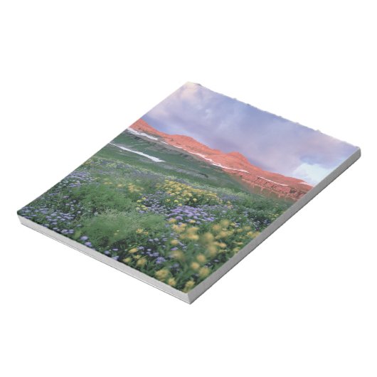 Paarse Fleabaan (erigeron peregrinus) en geel Notitieblok (Linkerzijde)