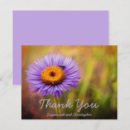 Paarse Fleabane Bloem & Bug Gepersonaliseerde Post (Voorkant / Achterkant)