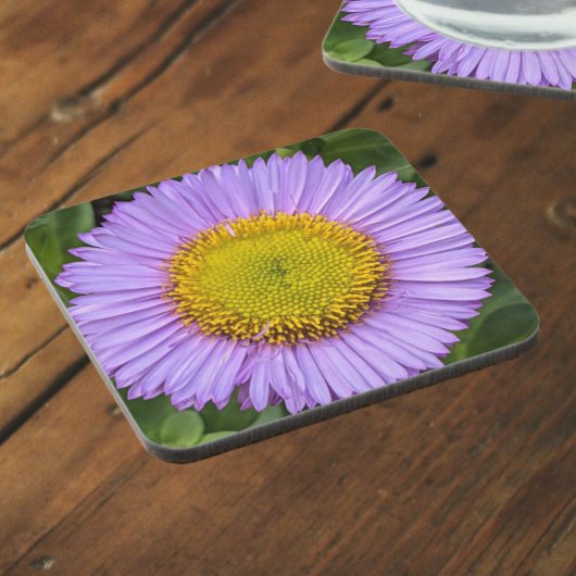 Paarse Fleabane Daisy Floral Bier Onderzetter