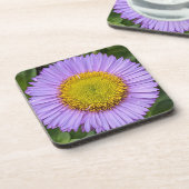 Paarse Fleabane Daisy Floral Bier Onderzetter (Linkerzijde)