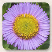 Paarse Fleabane Daisy Floral Bier Onderzetter (Voorkant)