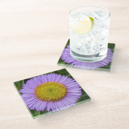 Paarse Fleabane Daisy Floral Glazen Onderzetter