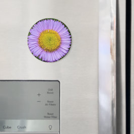 Paarse Fleabane Daisy Floral Magneet