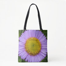 Paarse Fleabane Daisy Floral