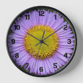 Paarse Fleabane Daisy w/Black Numerals Floral (Voorkant)