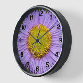 Paarse Fleabane Daisy w/Black Numerals Floral (Hoek)