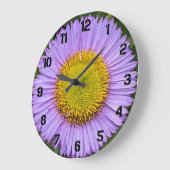 Paarse Fleabane Daisy w/Black Numerals Floral Grote Klok (Hoek)