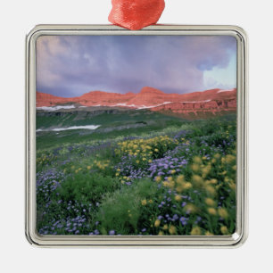 Paarse Fleabane (erigeron peregrinus) en Geel Metalen Ornament
