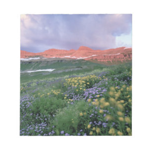 Paarse Fleabane (erigeron peregrinus) en Geel Notitieblok